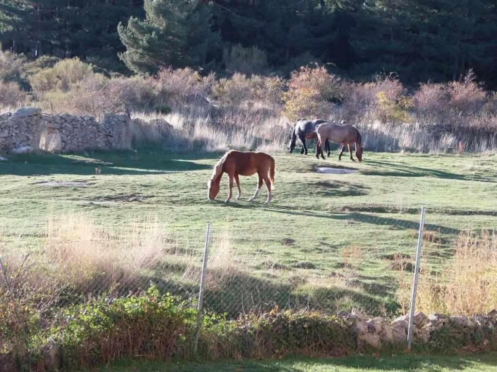 Casa Iona Chalet Adosado Con Vistas A La Montana نافاريدوندا دي غريدوس المظهر الخارجي الصورة